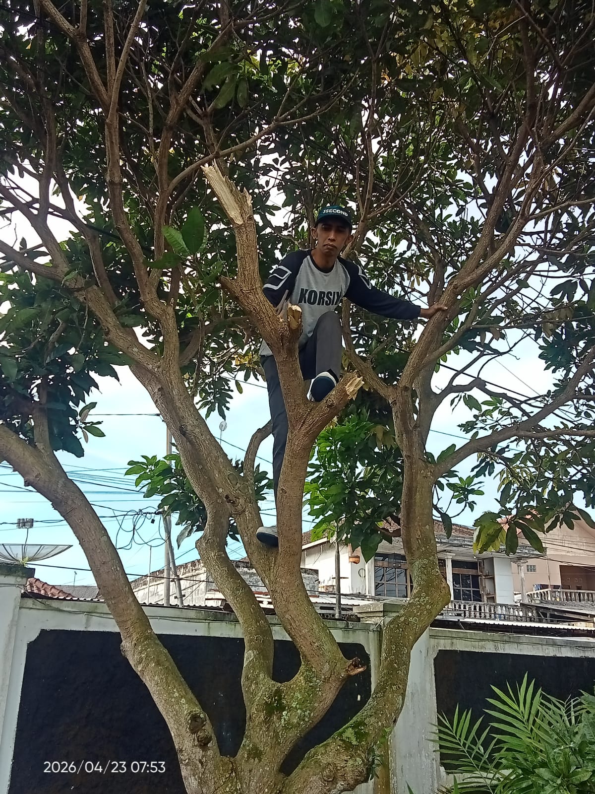 Gambar Berita