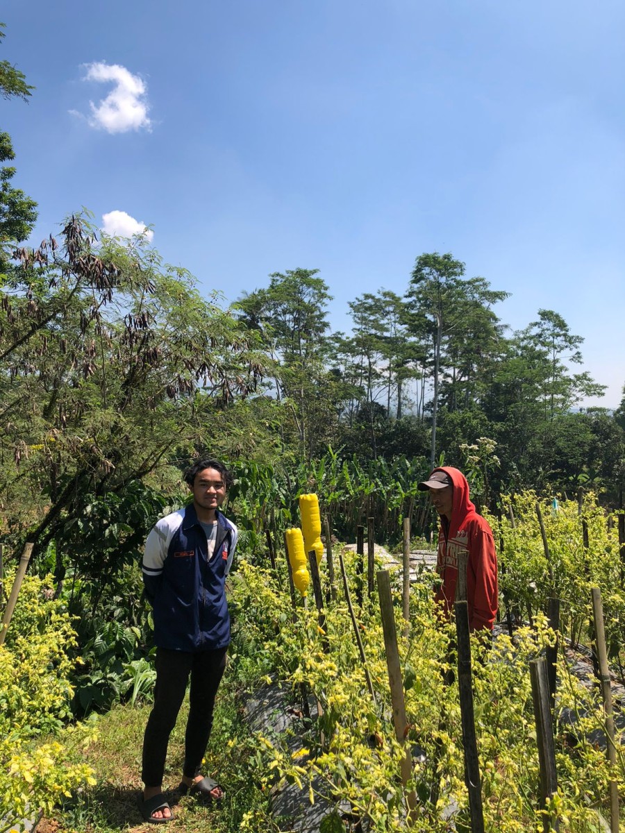 Gambar Berita