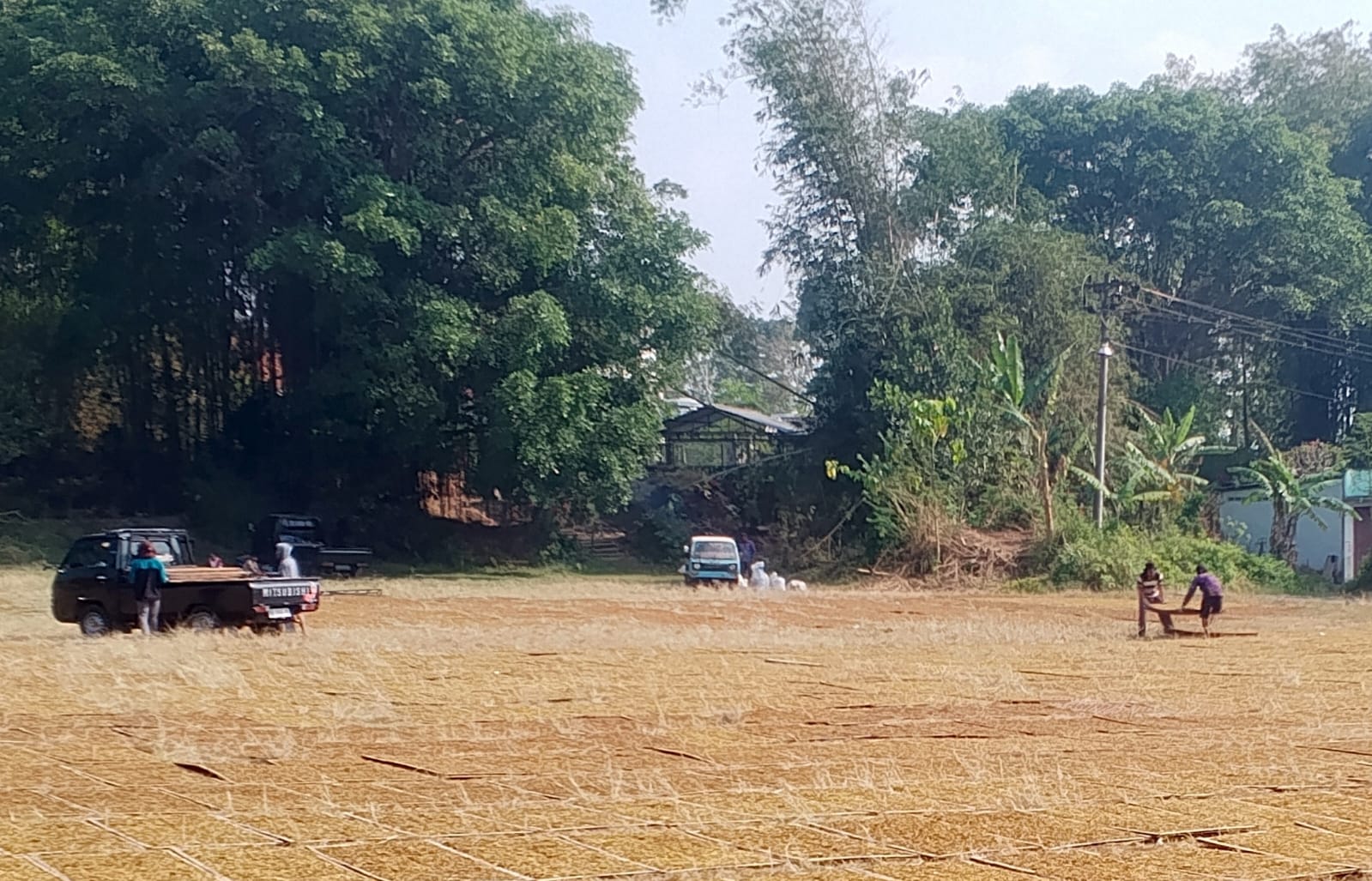 Gambar Berita