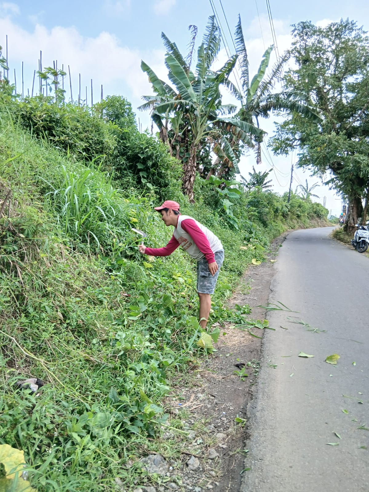 Gambar Berita